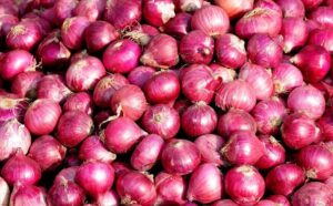 Fuel Price Hike Hits Onion Market: ‘We Live Hand to Mouth, How Will We Survive if Prices Rise?’