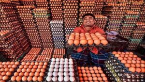 Egg Prices Jump 50% in a Week as a Dozen Hits 180 Taka; Who Will Break the Syndicate?