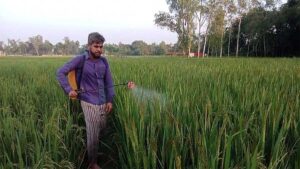 US Trade Deal Raises Concerns for Agriculture as American Firm Wins Pesticide Supply Role Over Thousands of Local Companies