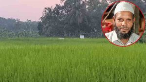Jamaat Chief Accused of Seizing Temple Land in Pirojpur for Rice Cultivation Since August 5